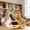 N, variant on Retractable Feather Cat Wand Toy, Interactive Teaser Stick with Bell & Beads, Durable Cat Toy for Indoor Cats, Exercise & Boredom Relief Green