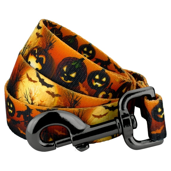 Country Brook Petz® 1 inch Midnight Fright Gunmetal Dog Leash, 6 Foot