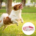 thumbnail image 3 of Collar de perro con lazo, collar de perro con lazo, collar ajustable para perro pequeño, mediano, grande, 3 of 5