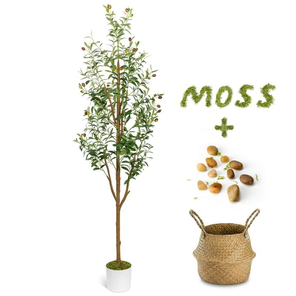 6FT Artificial Olive Tree - Indoor Tall Faux Olive Trees with Planter&Basket, Large Fake Olive Silk Tree Realistic Olive Plants with Branches and Fruits for Home Decor Office Living Room