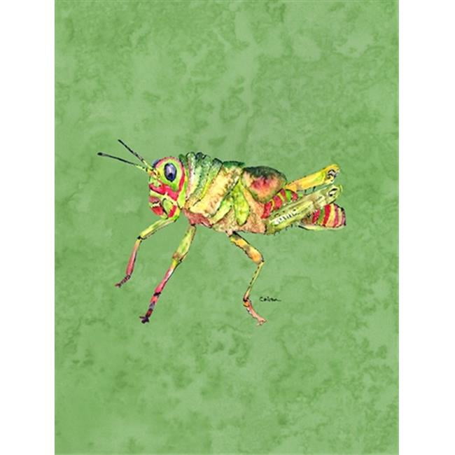 28 x 40 Po. Drapeau Sauterelle sur Avacado Toile, Taille Maison