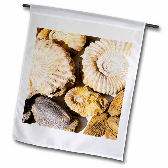 3dRose, Ammonite fossils for sale in the souk, Medina, Marrakech, Morocco., 12 x 18 inch Garden Flag