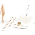 thumbnail image 1 of Body Kun Doll PVC Action Figure Set | Drawing Mannequin Figure Models For Artist, 1 of 9