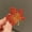 Red, variant on Rhinestone Maple Leaves Brooches Fashion Elegant Badge Pin Clothing Jewe_tu-Green