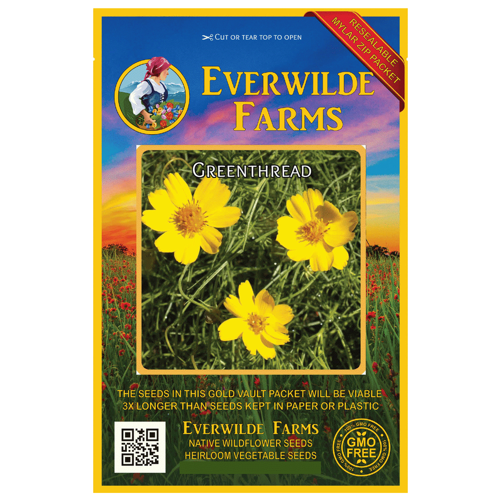 Everwilde Farms 500 Greenthread Native Wildflower Seeds Gold Vault Jumbo Bulk Seed Packet