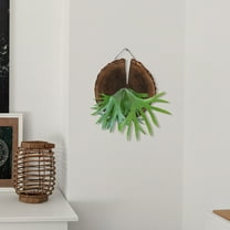 Soimiss Wall Planters for Outdoor Plants Wall Mounted Wooden Planter Brown Indoor Garden 1Pcs