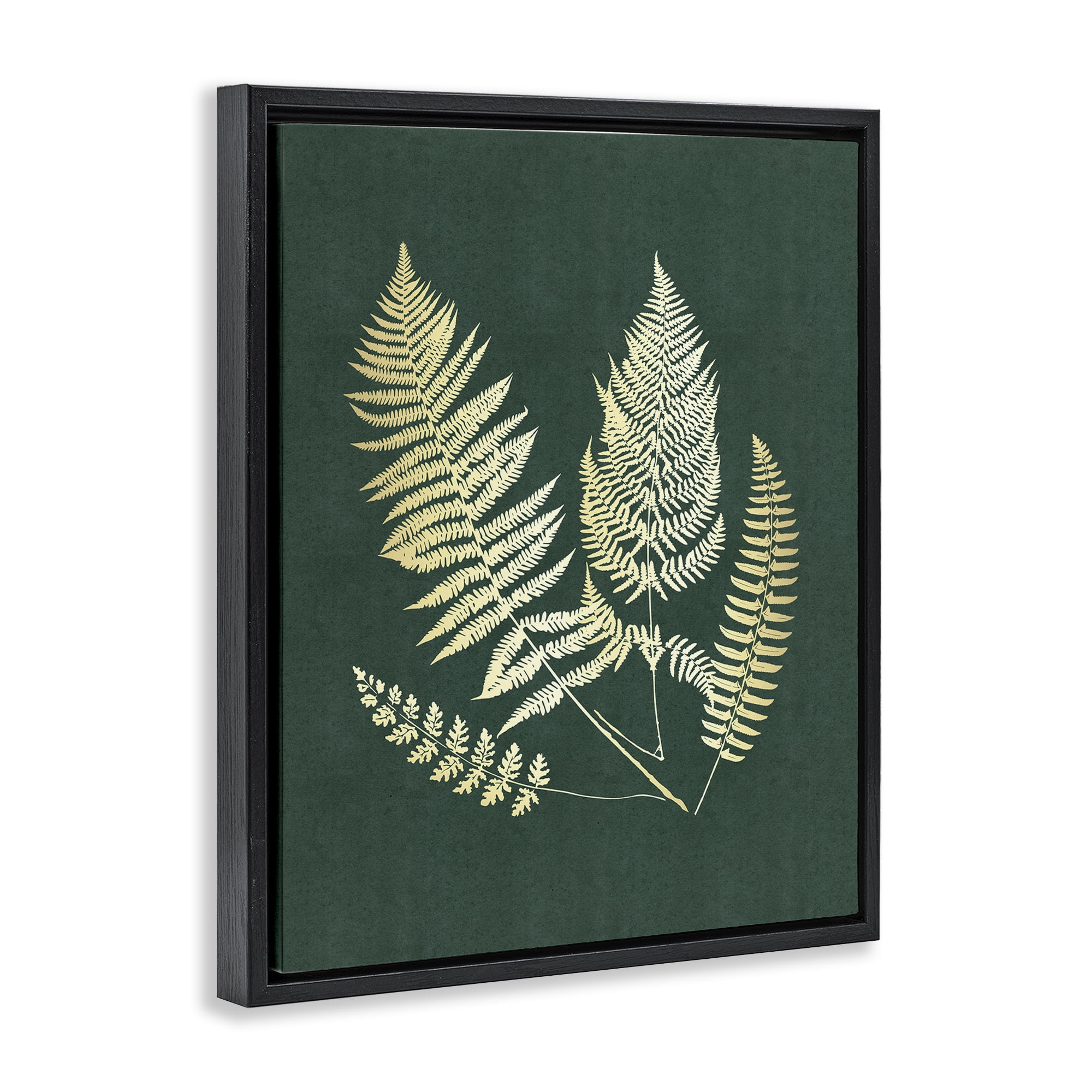 Stupell Industries Gilded Fern Sprigs Plants & Flowers Painting Black Floater Framed Canvas Art Print Wall Art, 25 x 31
