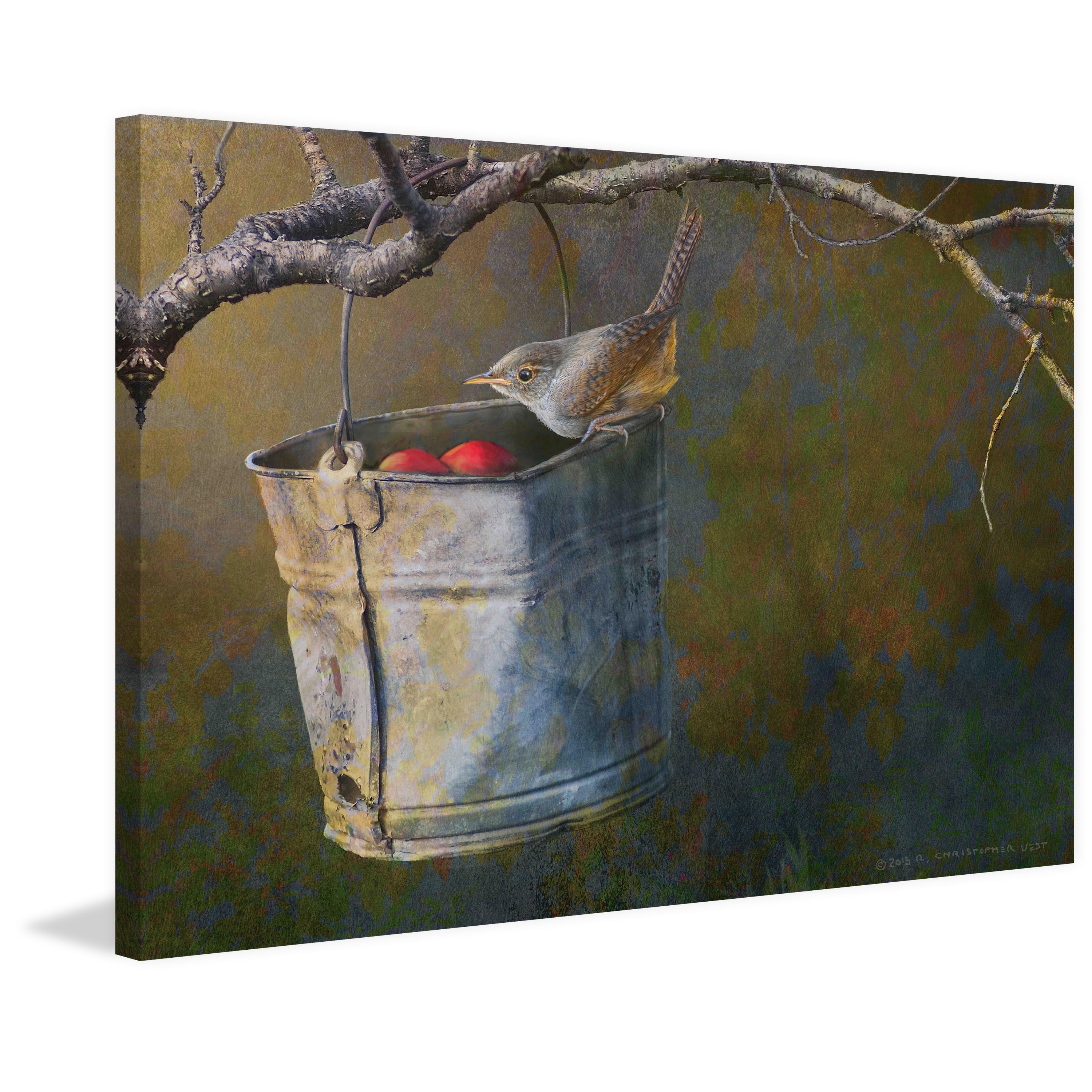 "Apple Bucket Wren" Painting Print on Wrapped Canvas
