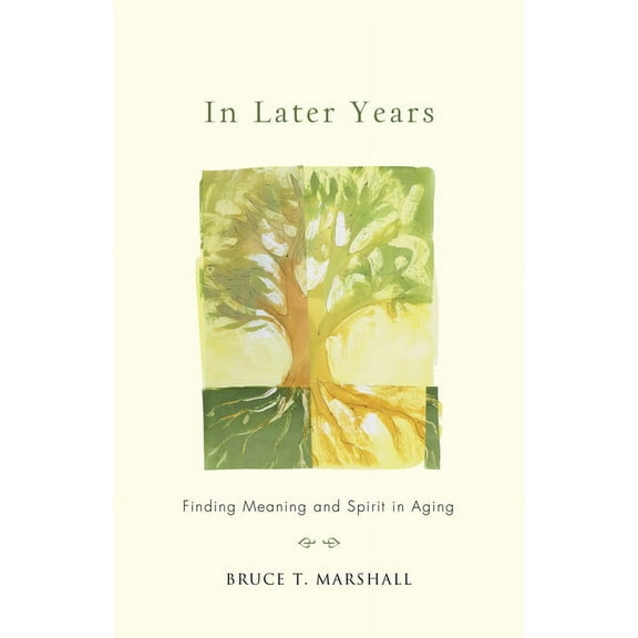 In Later Years : Finding Meaning and Spirit in Aging (Paperback)