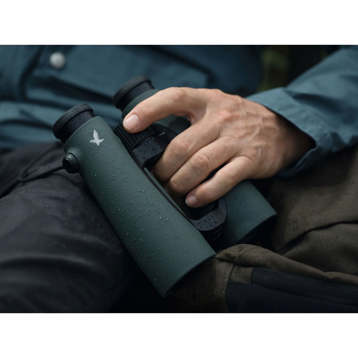 Swarovski Optik 10x42 EL Waterproof Roof Prism Binocular with 6.4 Degree Angle of View, Green