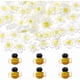 thumbnail image 1 of 66 cuentas de vidrio de Murano, incluidas 6 cuentas de margaritas y 60 cuentas de abeja, espaciadoras sueltas de vidrio., 1 of 6