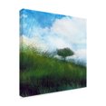 thumbnail image 2 of Trademark Fine Art 'Bright Field IV' Canvas Art by Ingrid Blixt, 2 of 4