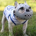 thumbnail image 2 of Dog Muzzle For Short Snout Dogs, Soft Silicone Muzzle For Biting Chewing, Ideal For Flat-faced Aggressive Dogs, 2 of 3