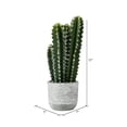thumbnail image 5 of Vickerman 17" Artificial Green Cactus Plant., 5 of 5