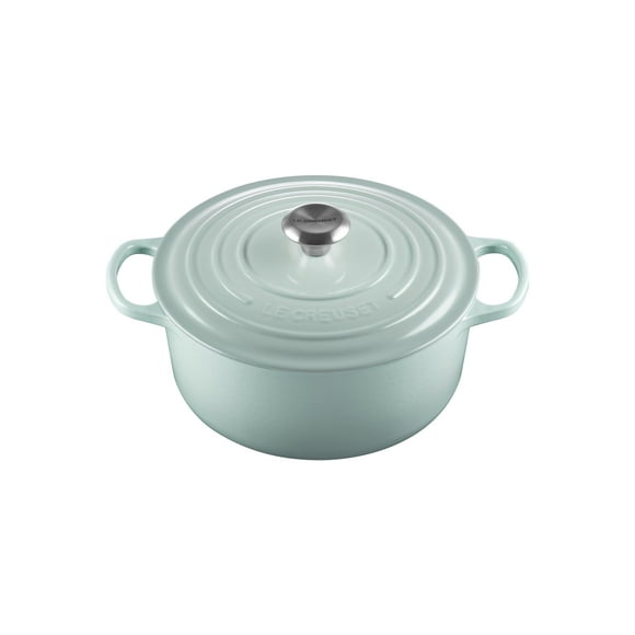 Horno holandés Le Creuset de hierro fundido esmaltado Signature, 5.5 L Sea