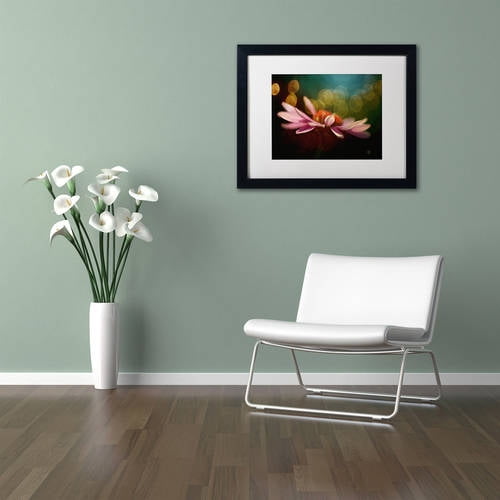 Trademark Fine Art "The Secret World of Coneflowers" Canvas Art by Lois Bryan White Matte, Black Frame