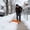 Orange-OR-home supplies, variant on MORESEC Home Large Aluminum Snow Shovel Ice Scraper Lightweight Handle Compact Outdoor Metal Durable Car Camping Winter Maintenance Cleaning 1pc Room Decor