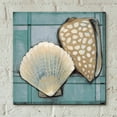 thumbnail image 5 of Epic Art 'Seashell Sketch I' by Tim O'Toole, Acrylic Glass Wall Art, 12"x12", 5 of 7