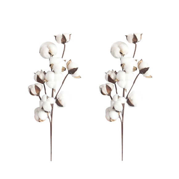 Farmhouse Style Dried Flower Arrangement 21 Inch Two Piece Set for Home
