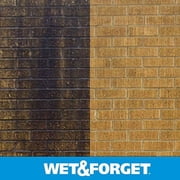 Wet & Forget Laundry Stain Remover Liquid - 1 Gal — Residential Use, Standard Application