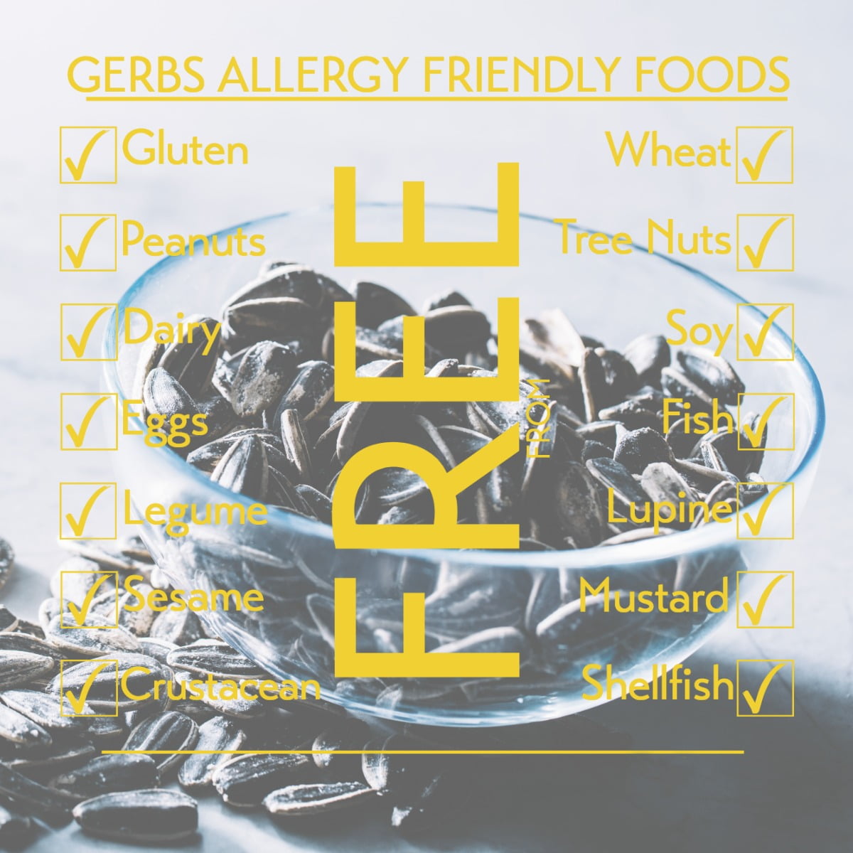Unsalted Sunflower Seeds In Shell by Gerbs - 2 LBS - Top 14 Food Allergen Free & NON GMO - Dry Roasted