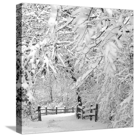 Winter Wonderland Wall Murals Winter Wonderland Stretched Canvas Print Wall Art By Winter Wonderland Wall Murals Winter Wonderland Stretched Canvas Print Wall Art By