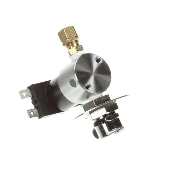 AJ Antunes- Roundup 7001309 Solenoid Valve Assembly