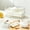 White, variant on Ice Cube Tray with Storage Bin, One Click Ice Release Ice Maker, Double Layer Ice Tray with Container and Handle for Freezer, Portable Ice Maker for Home Party Bar Use
