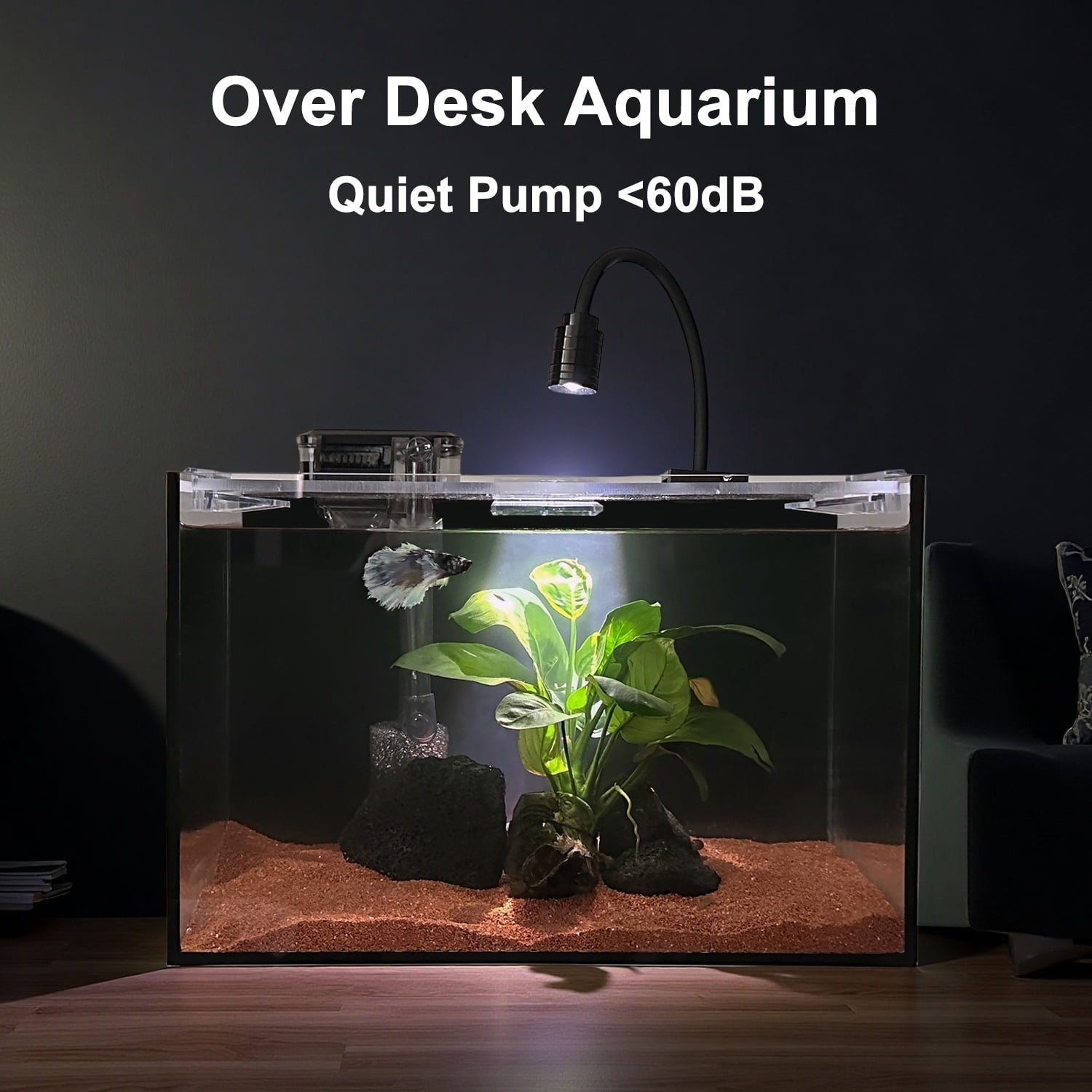 Craftsboys 2.8Gal Glass Aquarium Starter Kit with Filter, Light, Cover,  11.8*7.8*7.1 inch