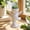 White D, variant on ufehgfjh Personalized Ceramic Figurine Planters For Succulents Cactus And Succulents Planters Desktop And Balcony Decor