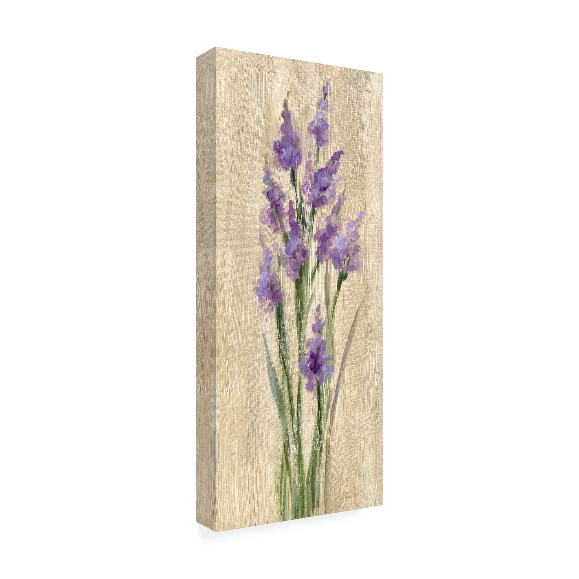 Trademark Fine Art 'Farm Flower II' Canvas Art by Silvia Vassileva