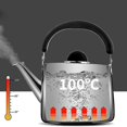 thumbnail image 2 of BR Hervidor con sonido de acero inoxidable 304, tetera de gas de gran capacidad para leche y agua caliente, perfecta para acampar al aire libre, 2 of 5