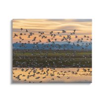 Stupell Industries Flock of Birds Flying Lake Reflection Orange Sunset Painting Gallery Wrapped Canvas Print Wall Art, Design by Nancy Crowell