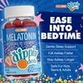 thumbnail image 2 of Dippin’ Dots Melatonin Gummies Sleep Supplement for Adults and Kids, Strawberry Sunset, 60 Count, 2 of 9