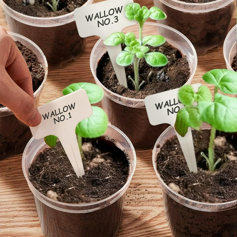 Whatever You Like-Clear Plastic Nursery Pots with Drainage Holes, 4-Inch  Planter Liners for Indoor Outdoor Gardening, Set of 8 Transparent Plant ...