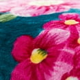 thumbnail image 2 of JML Queen Size Fleece Blanket, 1 Ply Lightweight Korean Style Plush Bed Blanket, 75" X 91", 2 of 7
