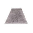 thumbnail image 1 of Billuyoard Manta Alfombra Interior Área grande Rectángulo Mesita de noche Antideslizante Cálido Tapete peludo Piso Ventana Silla Decoraciones Decoración del hogar Gris claro, 1 of 6