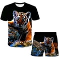 thumbnail image 2 of Conjuntos de ropa de tigre para niños y niñas, camisetas bonitas de verano, pantalones cortos, 1-14 años, 2 uds., trajes de ropa, trajes informales de moda para niños, trajes 5T Gao Jinjia LED, 2 of 2