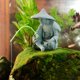 thumbnail image 3 of Figura de Pesca de Anciano, Adorno de Pescador de Acuario de Resina para la Fuente de Peces, 3 of 7