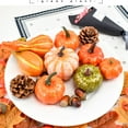 thumbnail image 3 of AMERTEER 50Pcs/Set Simulation Pumpkins Maple Pine Cone Thanksgiving Day Halloween Decor Style A One Size, 3 of 13