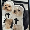 thumbnail image 4 of Instagrammable Halloween Nun Cloak Outfit For Pet Creative Funny Cats Dog Cosplay Costume Photoshoots Accessories Gift, 4 of 8