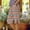 (Fashion 56)Coffee, variant on Women's Straight Leg Side Slit Striped Print Five Quarter Pants with Pockets Summer Loose and Casual Short Pants