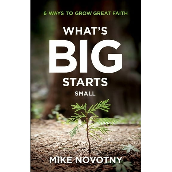What's Big Starts Small: 6 Ways to Grow Great Faith, (Paperback)