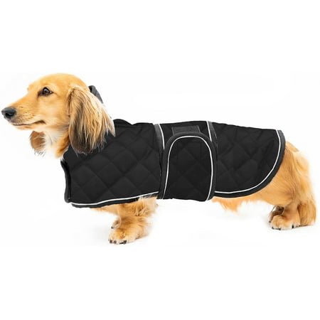 Warm Thermal Quilted Dachshund Coat, Dachshund Winter Coat With Hood Uk