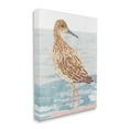 thumbnail image 3 of Stupell Industries Posing Herring Seagull Sea Shoreline Bird Painting,30 x 40, Design by Stellar Design Studio, 3 of 5