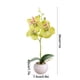 thumbnail image 3 of 1 pieza de tela verde y flores artificiales de cerámica,maceta redonda pequeña,Phalaenopsis de tres flores,arreglo floral de simulación de bonsái,plantas en maceta Rkxzt, 3 of 9