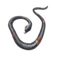 thumbnail image 1 of Silver Novedad Mini juguete científico serpiente realista para niños alivia el aburrimiento, 1 of 5