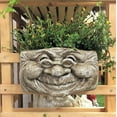 thumbnail image 3 of Homestyles Grandma "Violet" Muggly Face Garden Statue Tree & Patio Wall Planter, 3 of 4