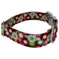 thumbnail image 4 of Country Brook Petz® 1 1/2 inch Premium Daisy Fields Dog Collar, Large, 4 of 5