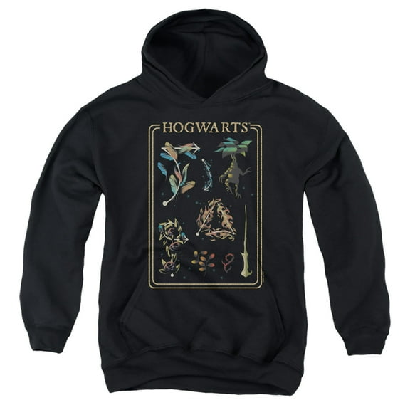 Harry Potter Gradient Spellbook Youth Kids Boy/Girls Pull-Over Hoodie, Black, Large